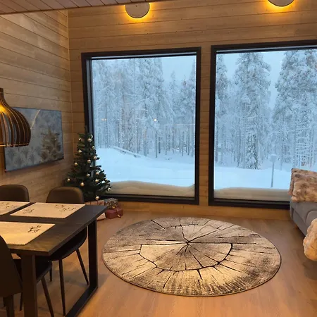 Lapland Luxury Igloos A Levi