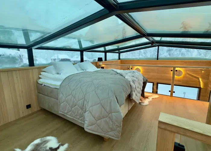 Lapland Luxury Igloos A * レヴィ