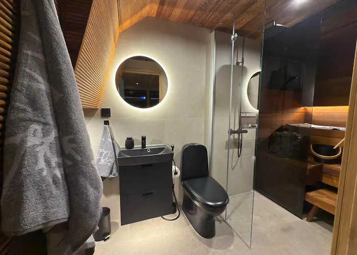 Lapland Luxury Igloos A * Levi