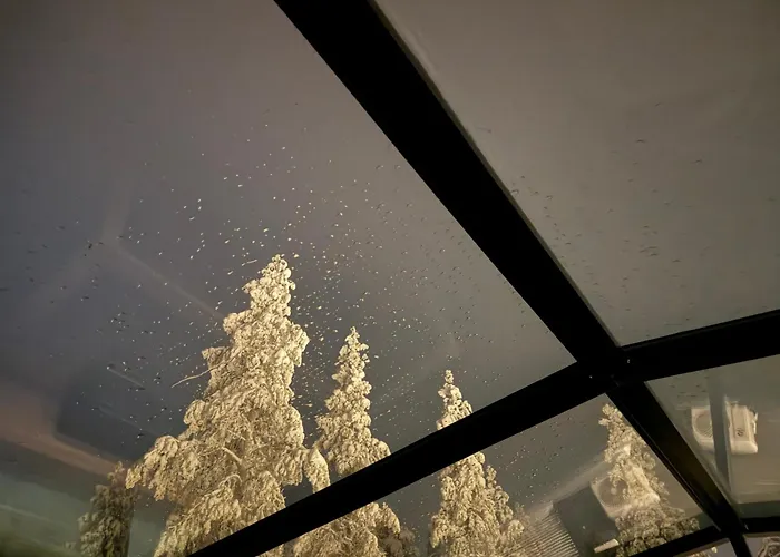 Lapland Luxury Igloos A * レヴィ